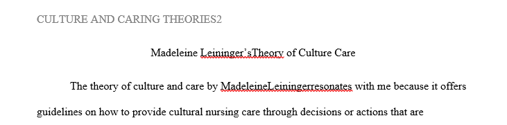 How does the theory integrate the nursing paradigm