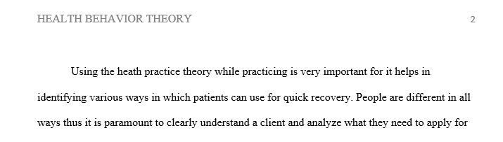 How do you view your role in using theory in practice