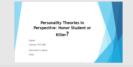  Explain how the chosen theoretical perspective provides insights into Markoff's behavior.