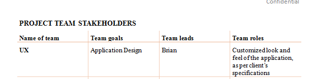 Create a communication plan for the XYZ Business Workflow software development project team.